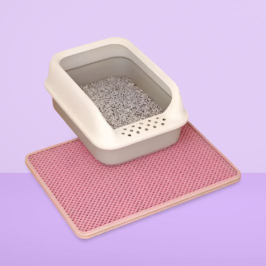 Double-Layer Anti-Tracking Cat Litter Mat