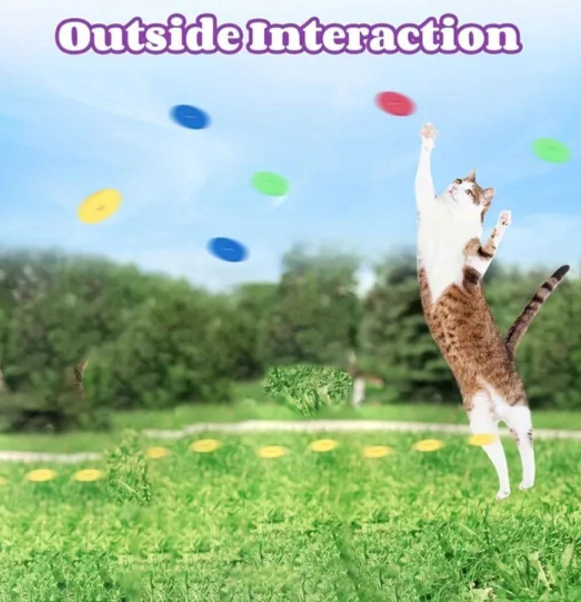 Interactive Cat Toy Launcher