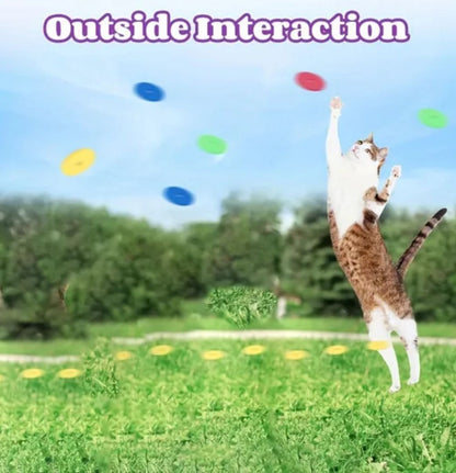 Interactive Cat Toy Launcher