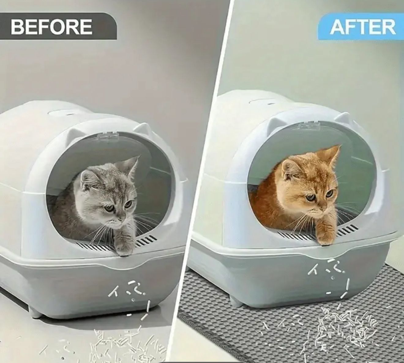 Double-Layer Cat Litter Mat