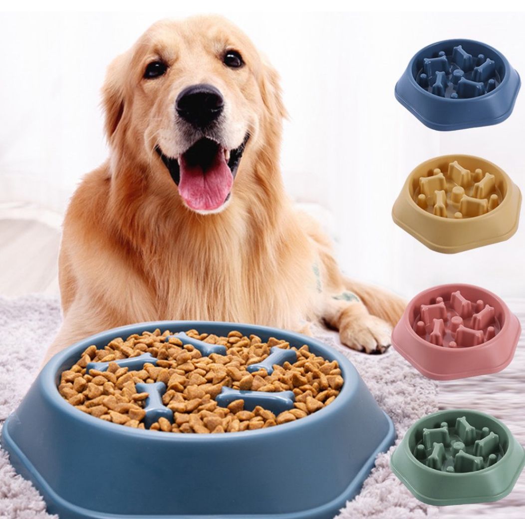 Slow Feeder Dog Bowl