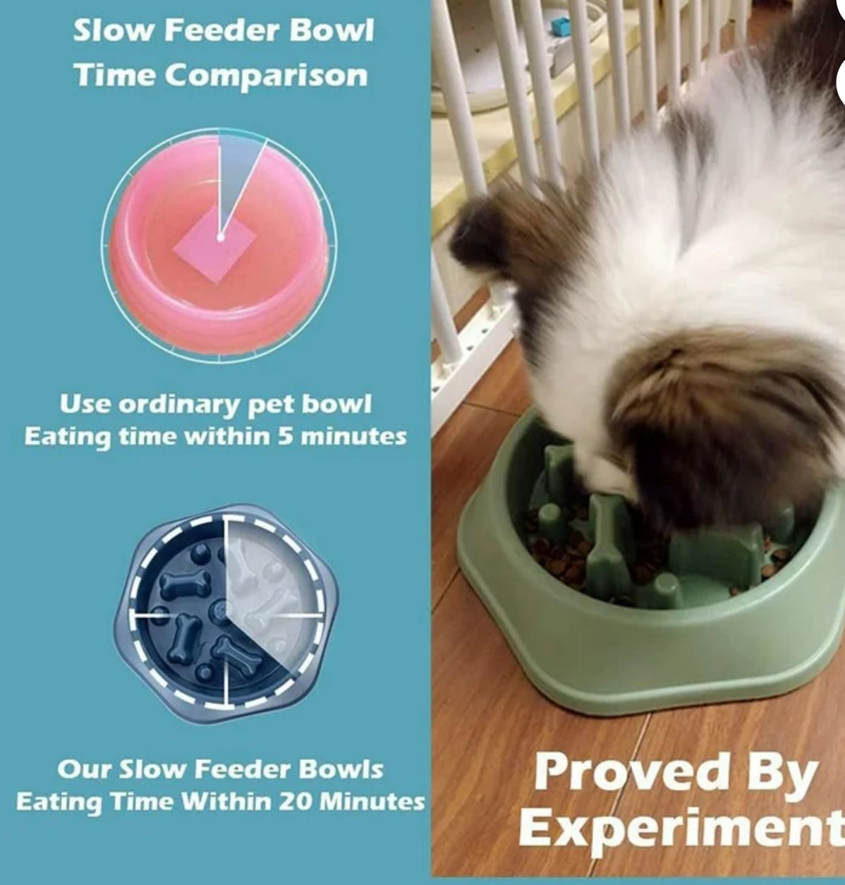 Slow Feeder Dog Bowl