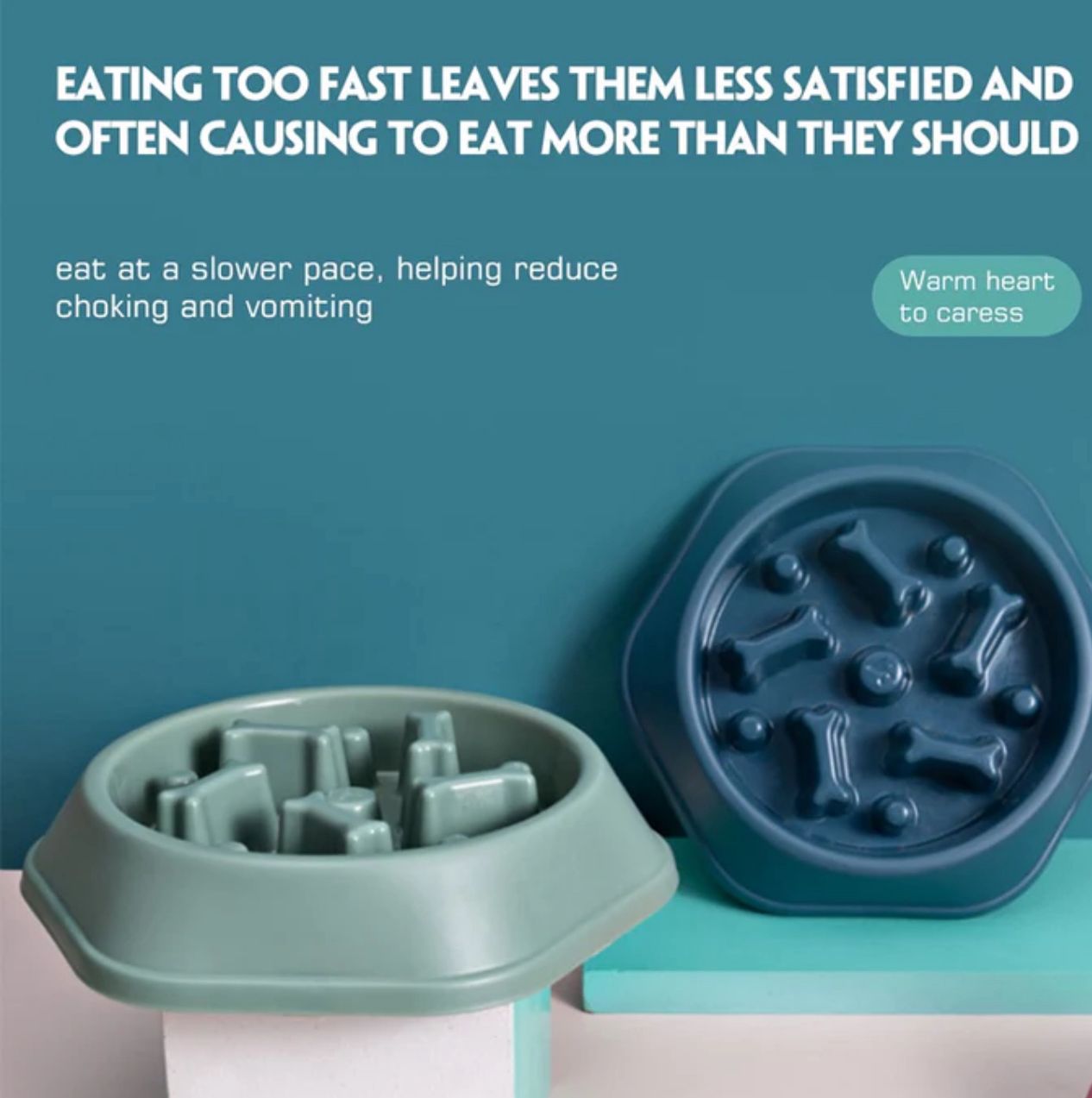 Slow Feeder Dog Bowl