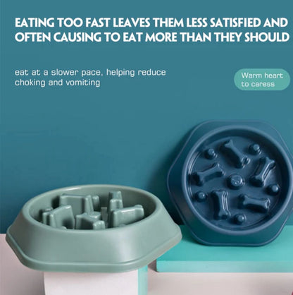 Slow Feeder Dog Bowl