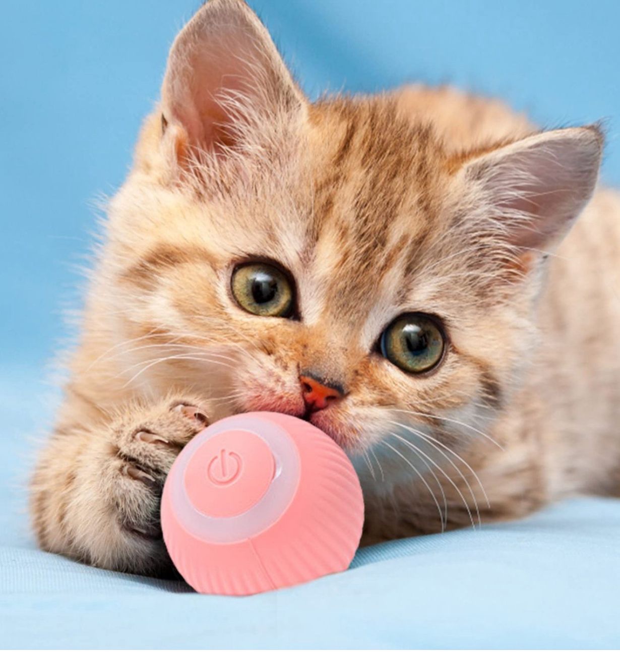 Smart Rolling Cat Teaser Ball for Self-Play