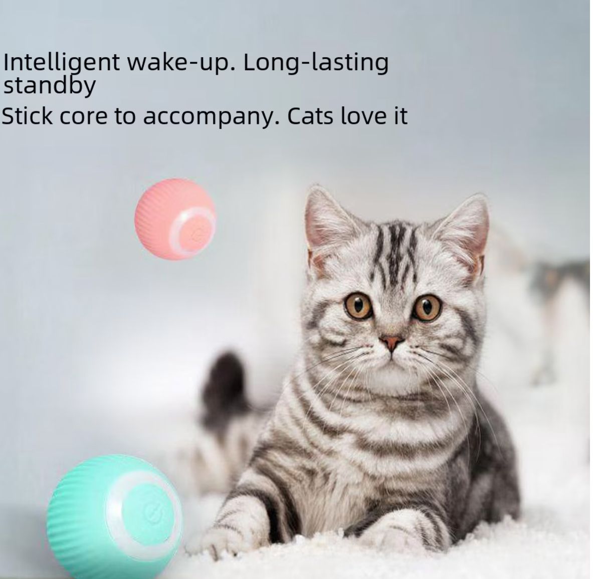 Smart Rolling Cat Teaser Ball for Self-Play