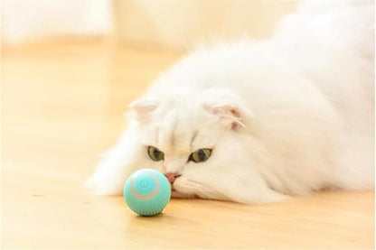 Smart Rolling Cat Teaser Ball for Self-Play