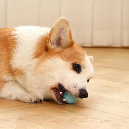 Smart Rolling Cat Teaser Ball for Self-Play