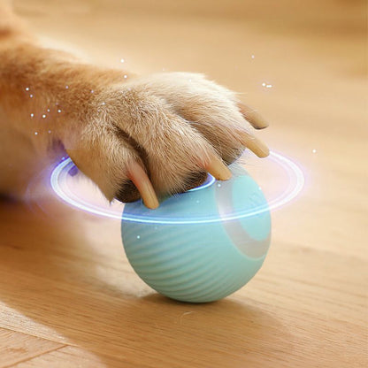 Smart Rolling Cat Teaser Ball for Self-Play