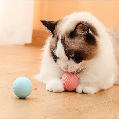 Smart Rolling Cat Teaser Ball for Self-Play