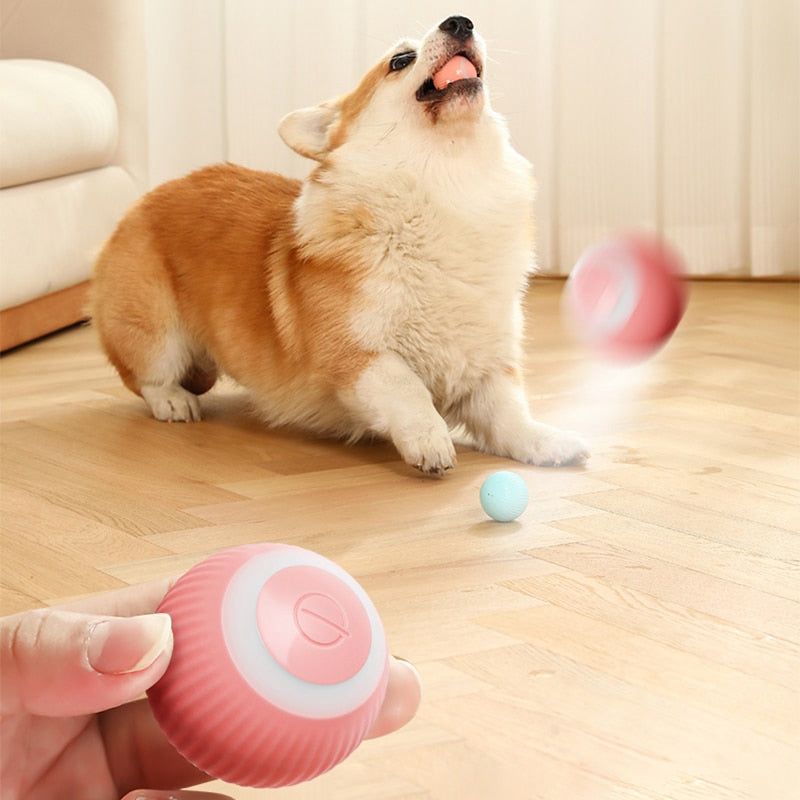 Smart Rolling Cat Teaser Ball for Self-Play