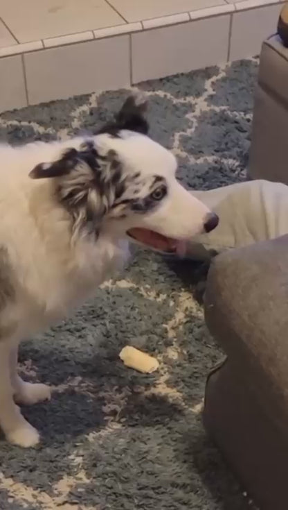 Happy Fetch
